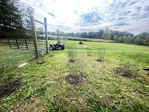 9 Trees / 5' Grid / 15' Enclosure.