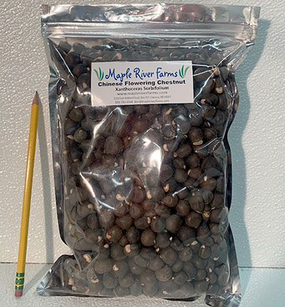 2lb Seed/Nut Bag